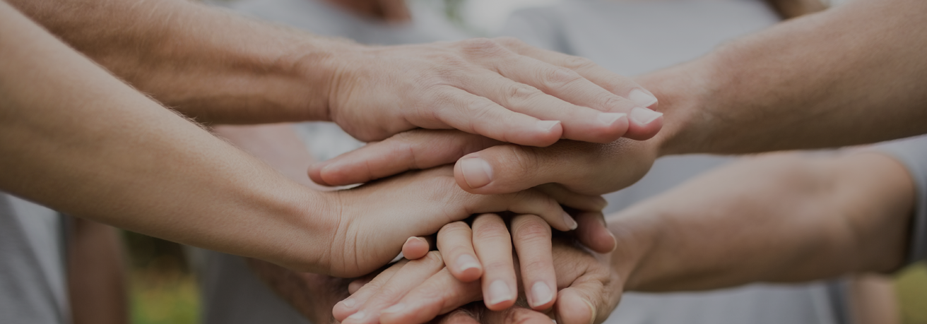 Social Contribution Activities